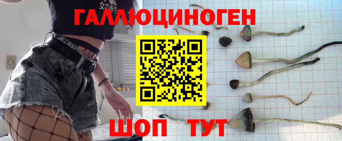 Галлюциногенные грибы ЛСД  Галлюциногенные грибы Magic Shrooms  Иваново  Вход с VPN 